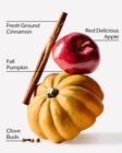 Pumpkin Apple Wallflowers Fragrance Refill image number null