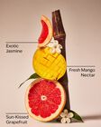 Mango Mai Tai Signature Single Wick Candle image number null