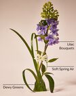 Fresh Cut Lilacs Gentle & Clean Foaming Hand Soap Refill image number null
