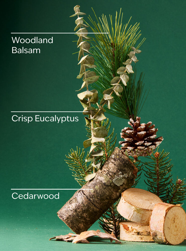 Fresh Balsam 3-Wick Candle เทียนหอม 3 ไส้