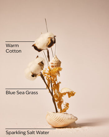 Beach Blanket Wallflowers Fragrance Refill Wallflowers Fragrance Refill