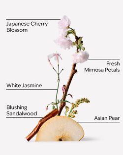 Japanese Cherry Blossom Single Wick Candle image number null