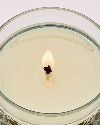 Spring Apple Single Wick Candle เทียนหอม 1 ไส้