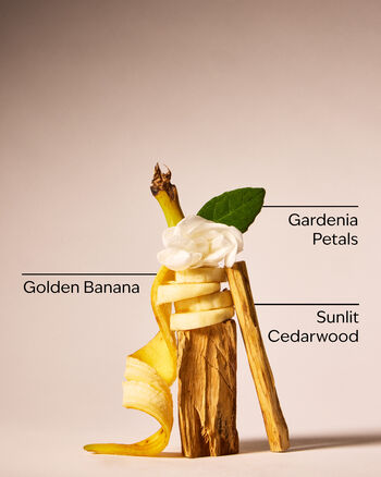 Dreaming of Rio Body Butter บอดี้บัตเตอร์