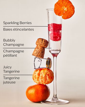 Champagne Toast Hanging Fragrance Diffuser Hanging Fragrance Diffuser
