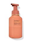 Cranberry & Gala Apple Gentle & Clean Foaming Hand Soap image number null