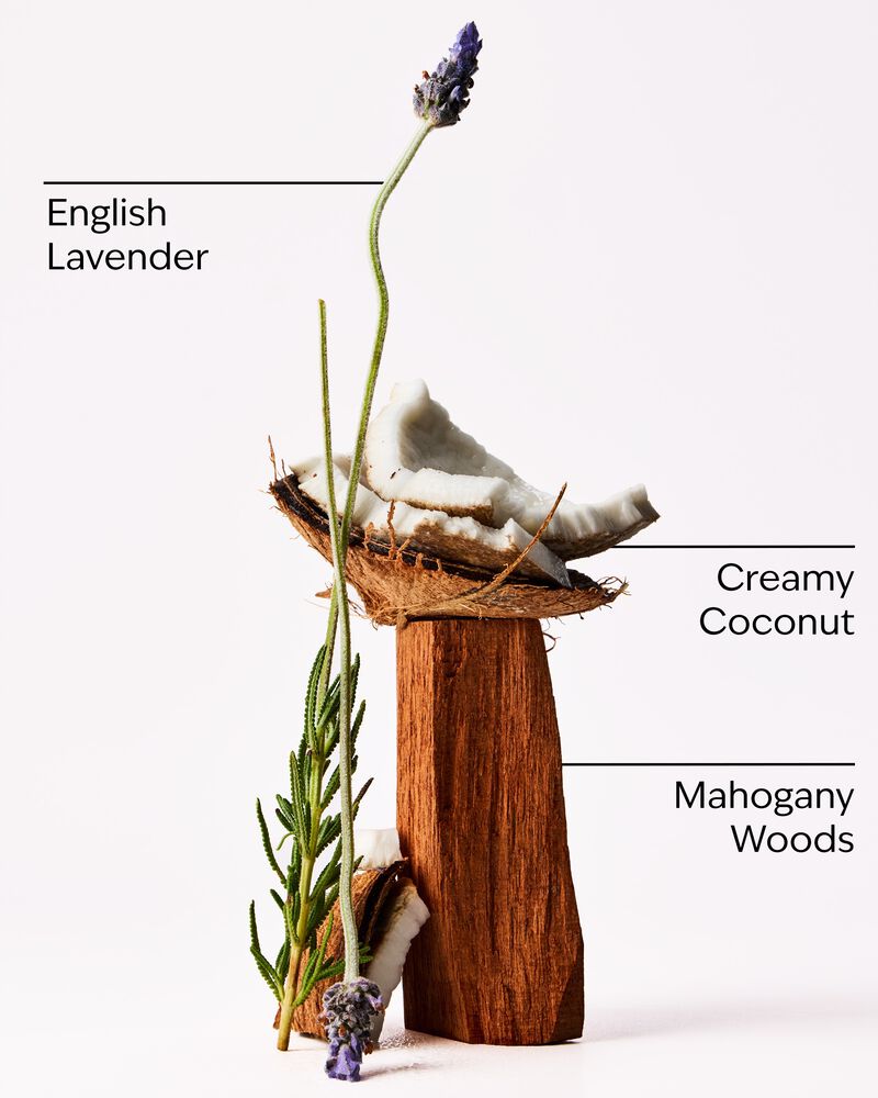 Mahogany Coconut Wallflowers Fragrance Refill รีฟิลวอลล์ฟลาวเวอร์