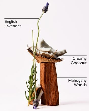 Mahogany Coconut Wallflowers Fragrance Refill รีฟิลวอลล์ฟลาวเวอร์
