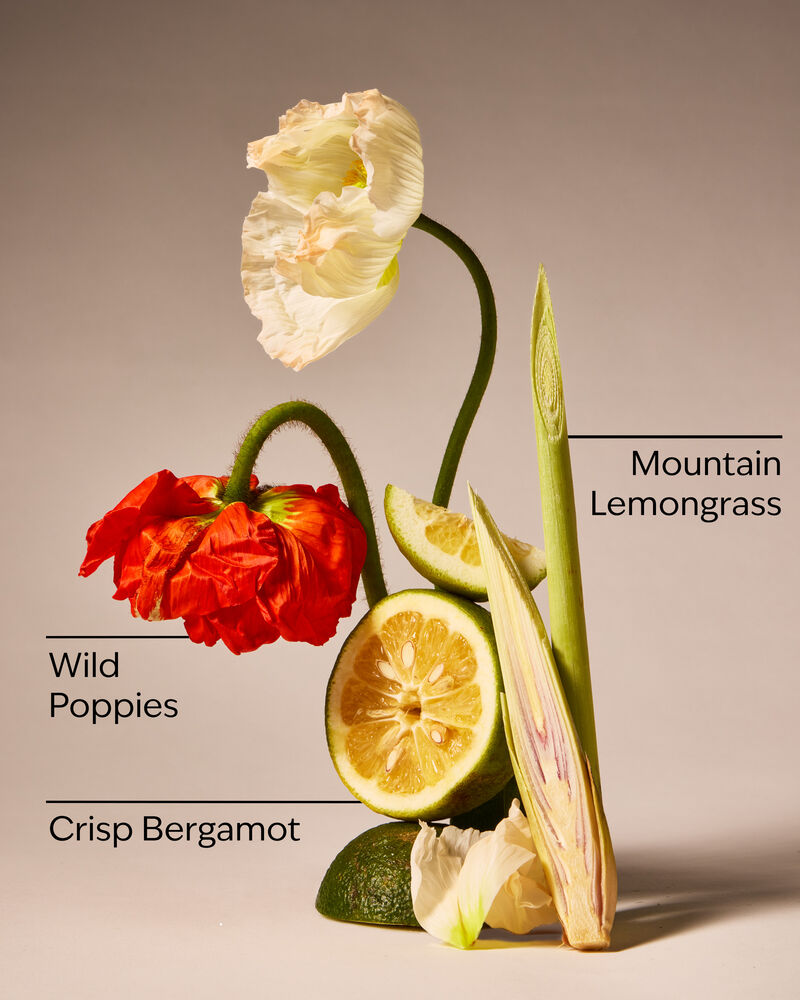 Mountainside Wildflower 3-Wick Candle เทียนหอม 3 ไส้