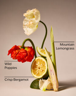 Mountainside Wildflower 3-Wick Candle image number null