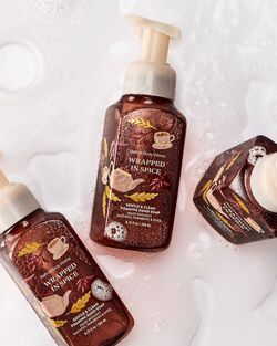 Wrapped In Spice Gentle & Clean Foaming Hand Soap image number null