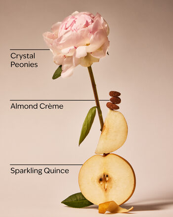 A Thousand Wishes Diamond Shimmer Mist Diamond Shimmer Mist