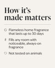 Gingham Wallflowers Fragrance Refill image number null