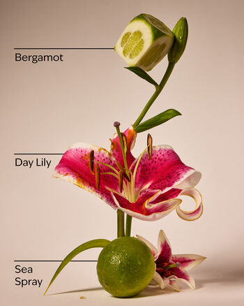 Turquoise Waters Gentle & Clean Foaming Hand Soap Gentle & Clean Foaming Hand Soap