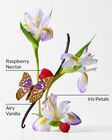 Butterfly Moisturizing Body Wash image number null