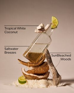Waikiki Beach Coconut Car Fragrance Refill image number null