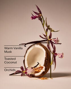 Tiki Beach Car Fragrance Refill