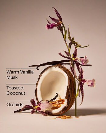 Tiki Beach Concentrated Room Spray สเปรย์ปรับอากาศห้อง