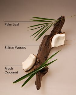 Coconut Nectar Travel Size Smooth & Soothe Body Cream image number null