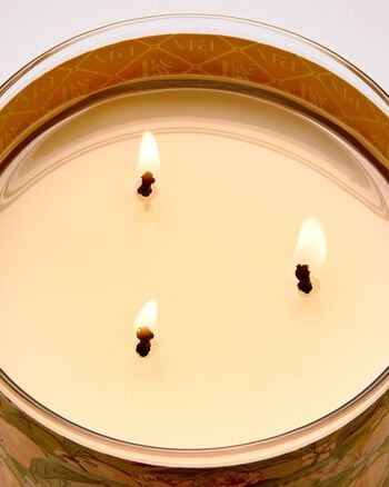 Peach Blossom & Nectar 3-Wick Candle เทียนหอม 3 ไส้