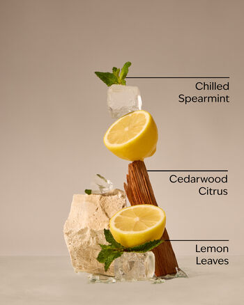 Fresh Amalfi Lemon 3-Wick Candle เทียนหอม 3 ไส้