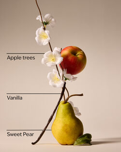Spring Apple Single Wick Candle image number null
