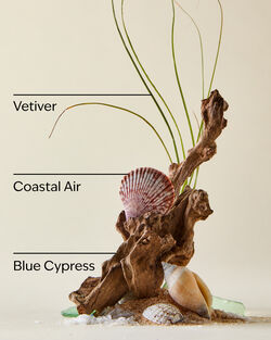 Ocean 3-Wick Candle image number null