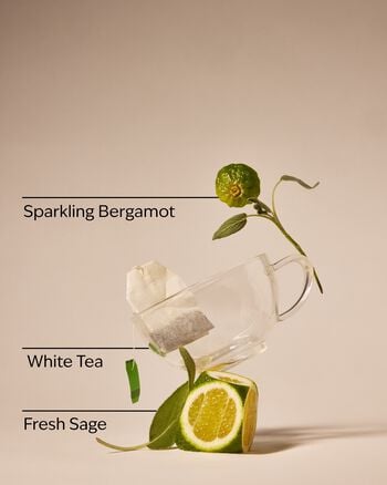 White Tea & Sage Gentle & Clean Foaming Hand Soap โฟมล้างมือ