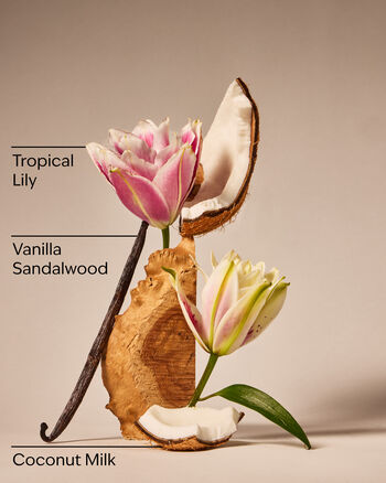 Eau De Coconut Ultimate Hydration Body Cream บอดี้ครีม