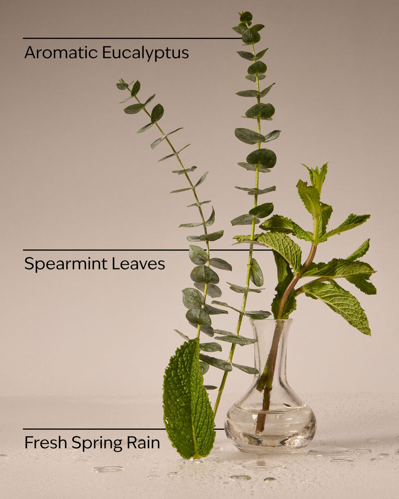 Eucalyptus Rain 3-Wick Candle เทียนหอม 3 ไส้