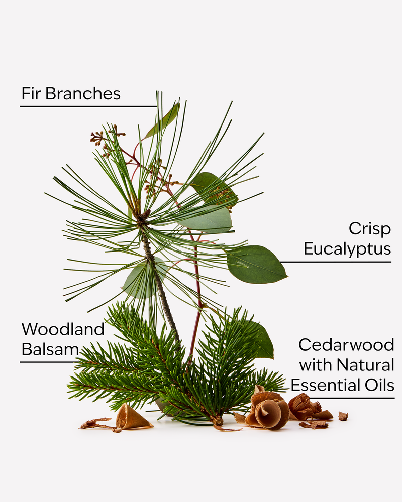 Fresh Balsam Single Wick Candle Single Wick Candle