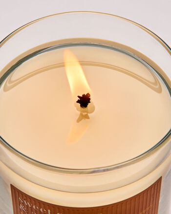 Sweet Orange & Agave Single Wick Candle เทียนหอม 1 ไส้