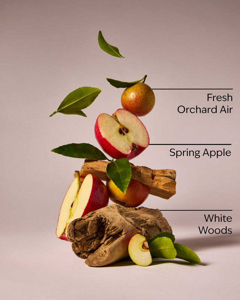 Blue Orchard Skies 3-Wick Candle 3-Wick Candle