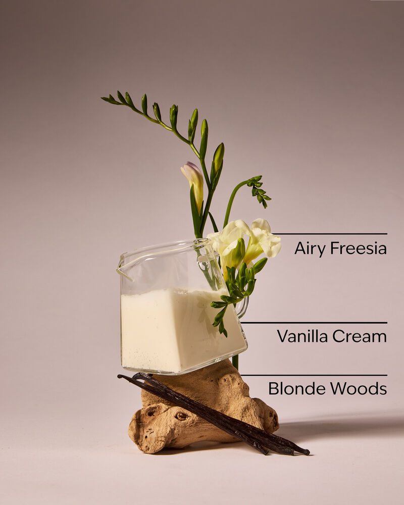 Vanilla Cloud 3-Wick Candle เทียนหอม 3 ไส้