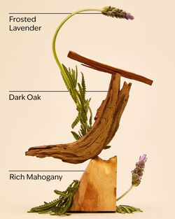 Mahogany Teakwood 3-Wick Candle image number null