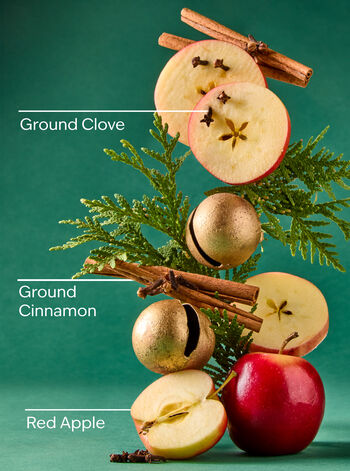 Tis The Season 3-Wick Candle 3-Wick Candle