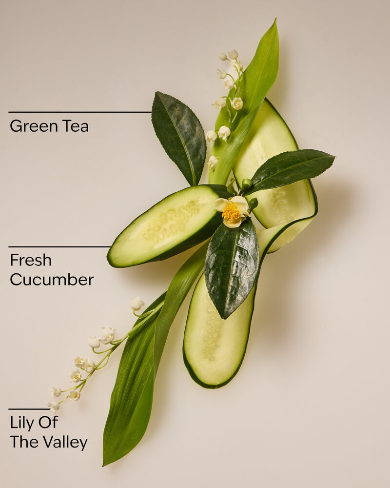 Cucumber & Lily Daily Moisturizing Hand Soap Daily Moisturizing Hand Soap
