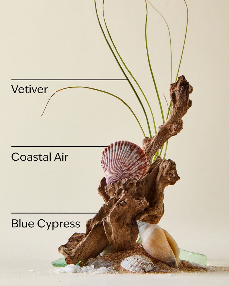 Ocean Shampoo Shampoo