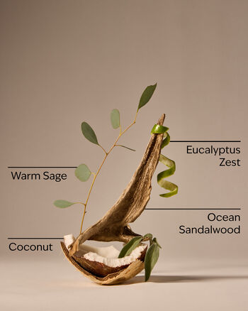 Warm Ocean Breeze Concentrated Room Spray สเปรย์ปรับอากาศห้อง