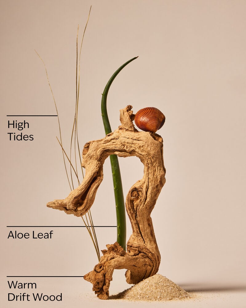 Freshwater Waves Gentle & Clean Foaming Hand Soap Gentle & Clean Foaming Hand Soap