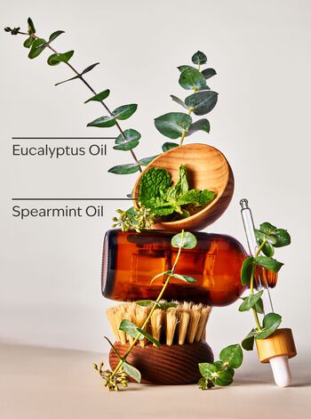 Eucalyptus Spearmint Body and Massage Oil บอดี้ออยล์