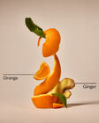 Orange Ginger Body Lotion image number null
