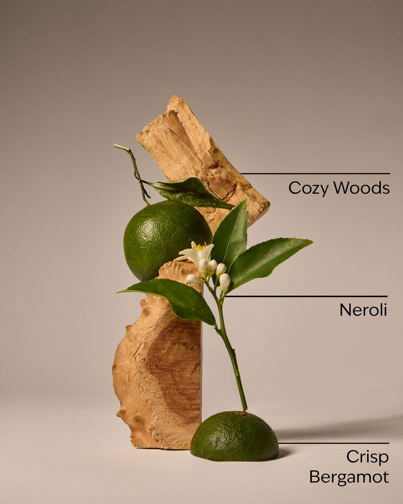 Book Loft Wallflowers Fragrance Refill รีฟิลวอลล์ฟลาวเวอร์