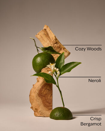 Book Loft Wallflowers Fragrance Refill รีฟิลวอลล์ฟลาวเวอร์