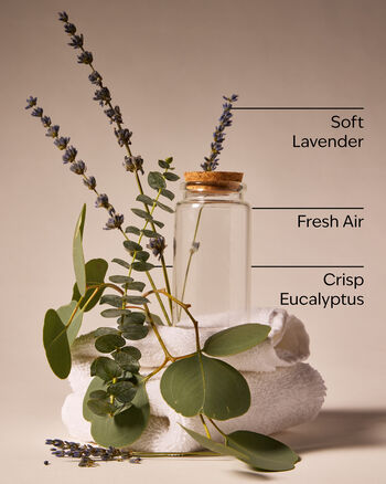 Laundry Day Wallflowers Fragrance Refill รีฟิลวอลล์ฟลาวเวอร์