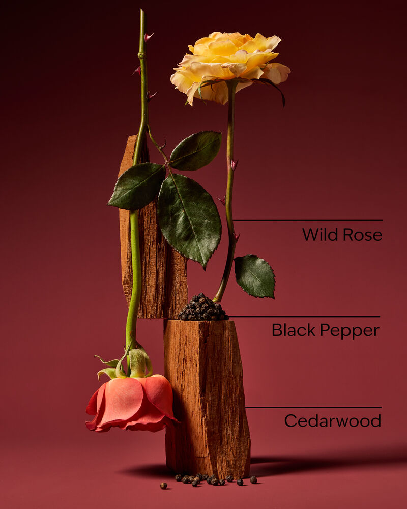 Nocturnal Rose Wallflowers Fragrance Refill รีฟิลวอลล์ฟลาวเวอร์