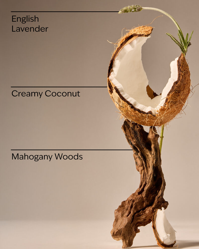 Mahogany Coconut Single Wick Candle เทียนหอม 1 ไส้