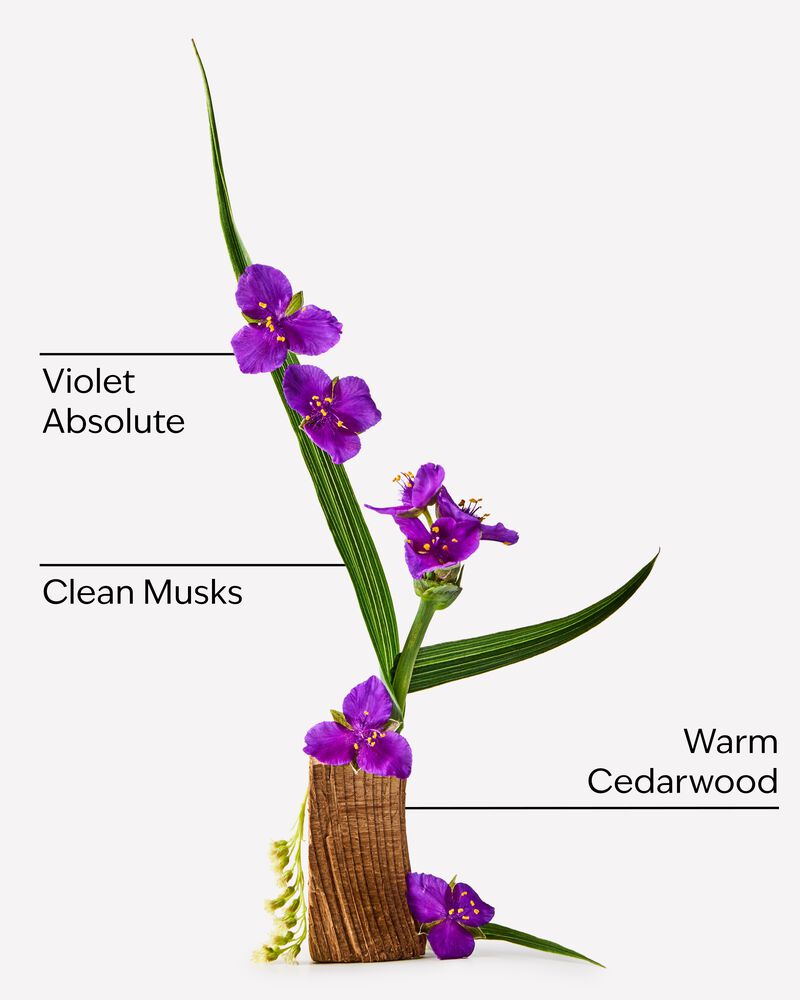 Very Violet Fine Fragrance Mist Fine Fragrance Mist