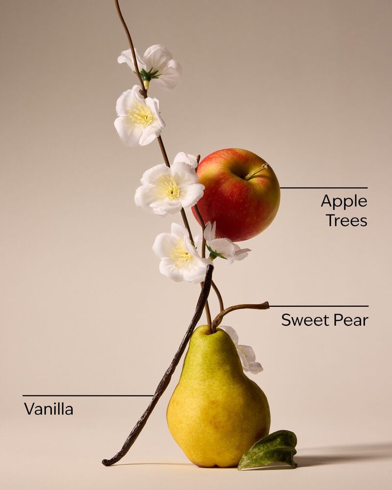 Spring Apple Single Wick Candle เทียนหอม 1 ไส้