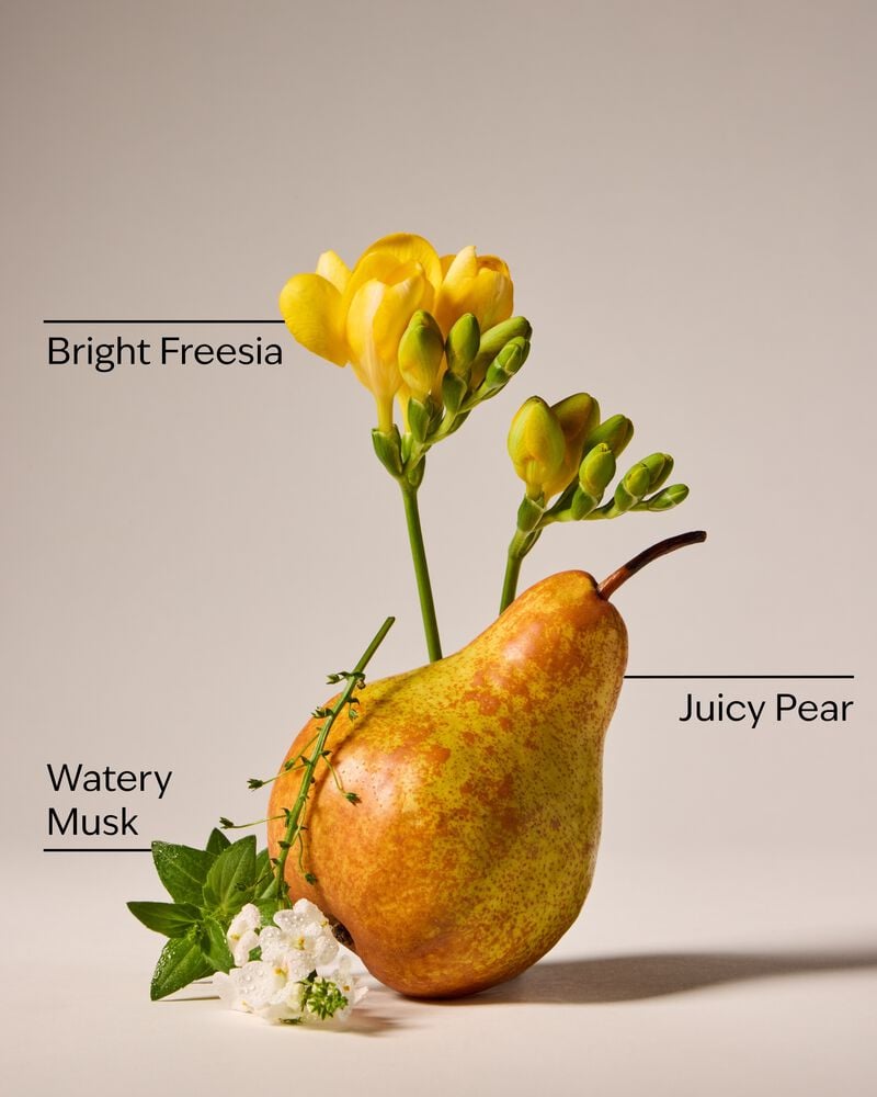 Crisp Pear Travel Size Smooth & Soothe Body Cream บอดี้ครีมขนาดพกพา